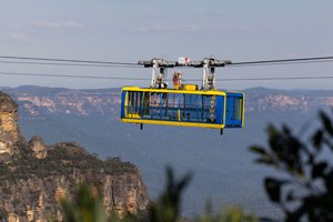 Scenic World