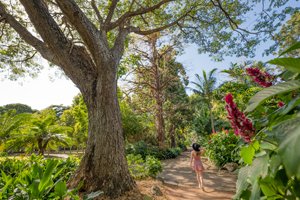 QUEENS GARDENS