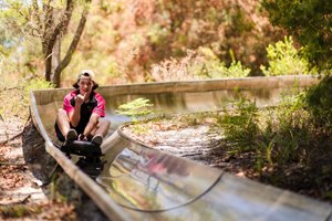 TOBOGGAN HILL PARK